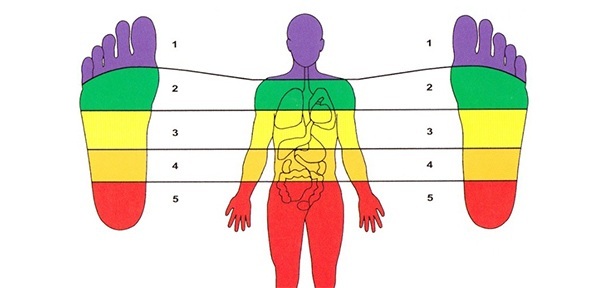 Chinese Foot Acupressure Chart