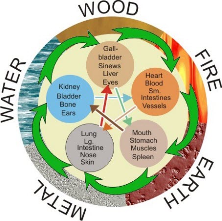 Five Elements Acupuncture Chart