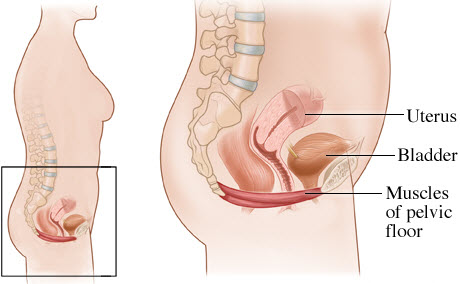 Pelvic Tension Symptoms Recommendations And Relaxation Techniques