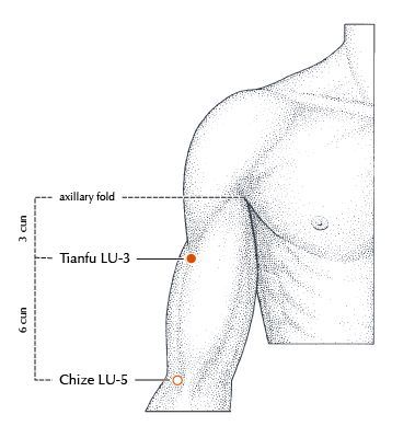 acupuncture-points-for-respiratory-system