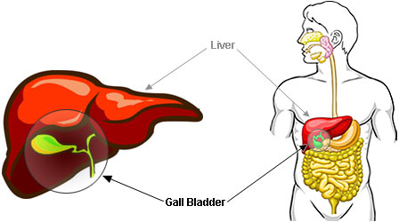 symptoms-of-gall-bladder-problems