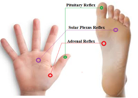 adrenal massage points