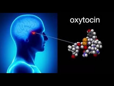 oxytocin