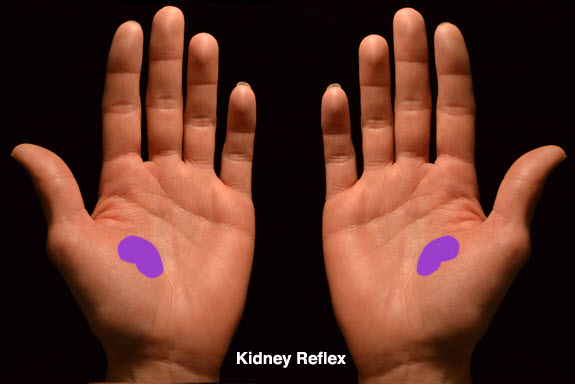 reflexology-point-for-the-kidneys