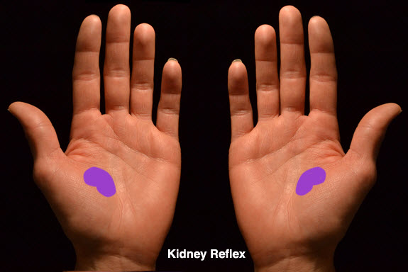 kidney reflexology point