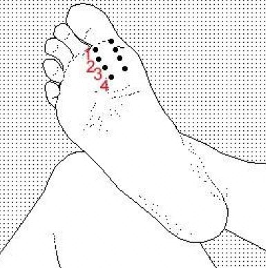 thyroid-reflexology-point