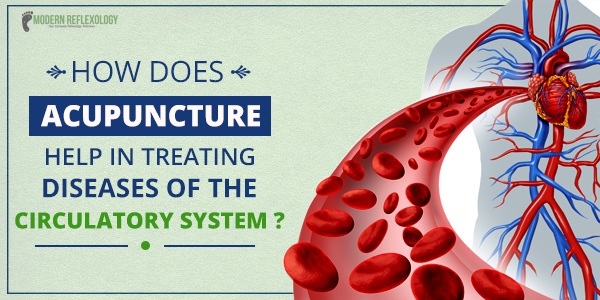 banner-circulatory-system