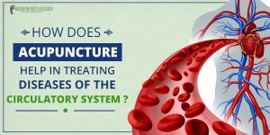 circulatory-system