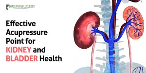kidney-and-bladder