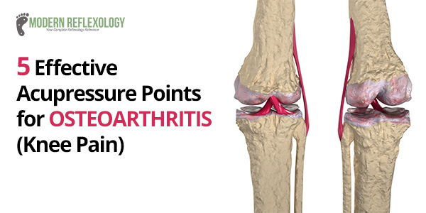 Acupressure Points Leg Chart