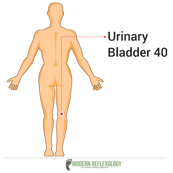 Urinary Bladder 40 or UB40 acupressure point
