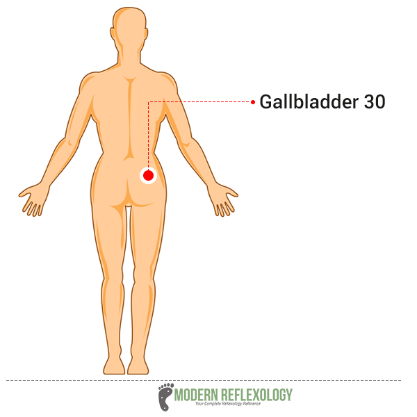 Gallbladder 30 