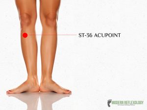 st-36-acupoint