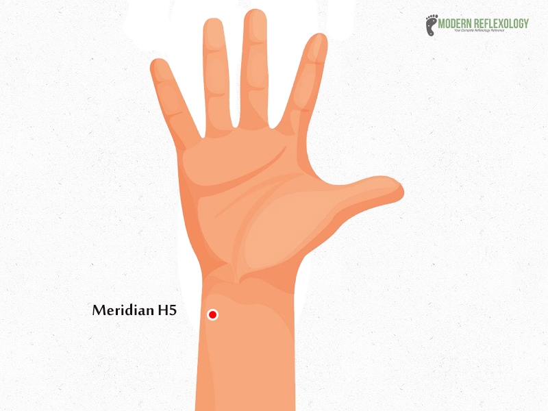 Meridian H5