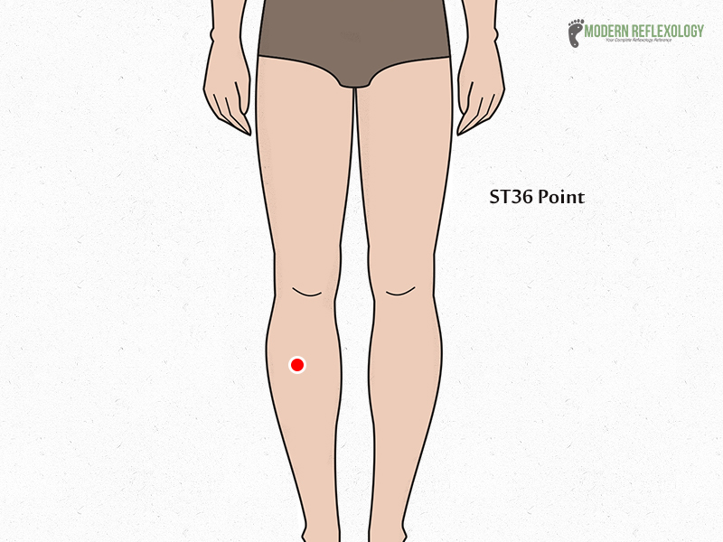 ST36 Point Acupuncture points
