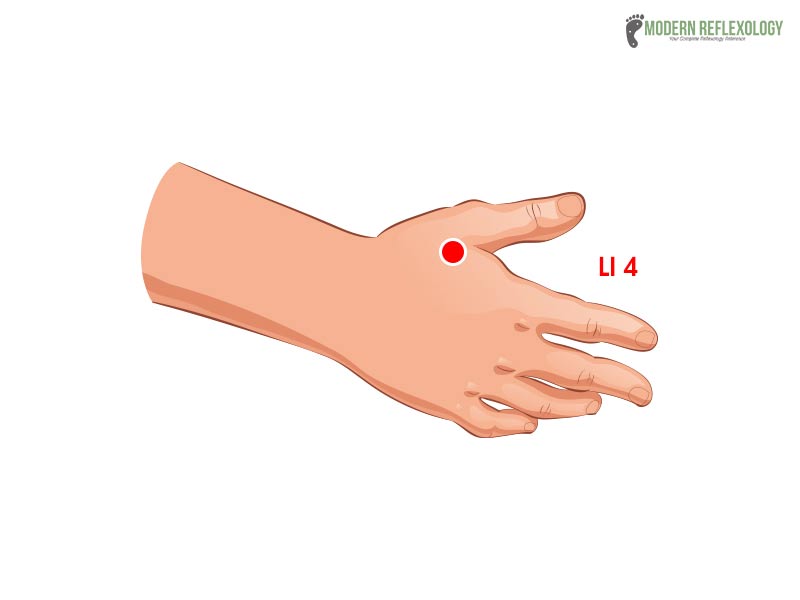 LI4 acupuncture point