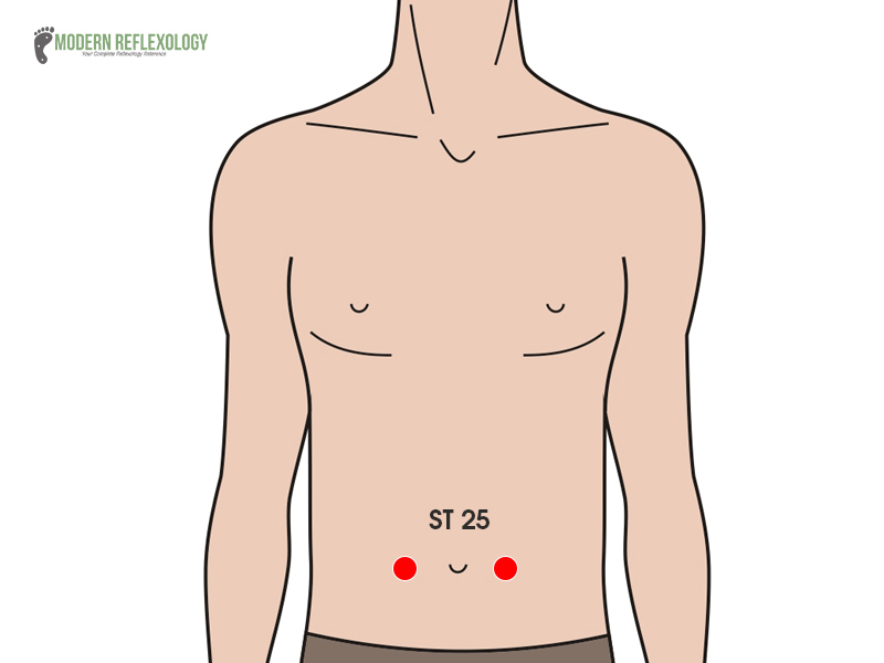 stomach meridian points ST 25