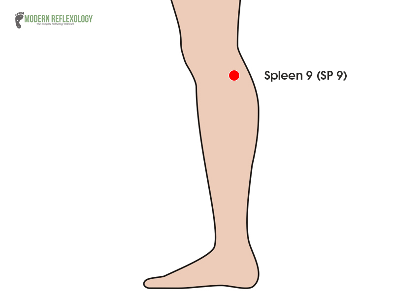 Spleen 9 Point