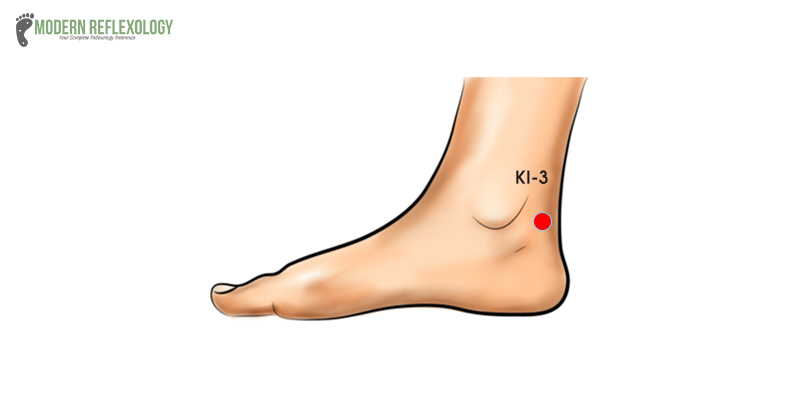  Kidney 3 (KI 3) acupuncture point