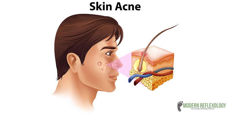 Facial Rejuvenation Acupuncture Points Chart