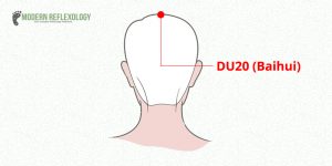 DU20 (Baihui)