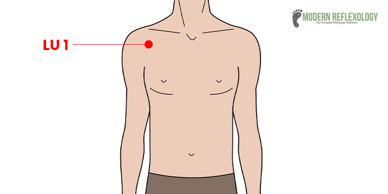 Lung 1